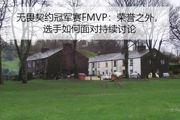 无畏契约冠军赛FMVP：荣誉之外，选手如何面对持续讨论